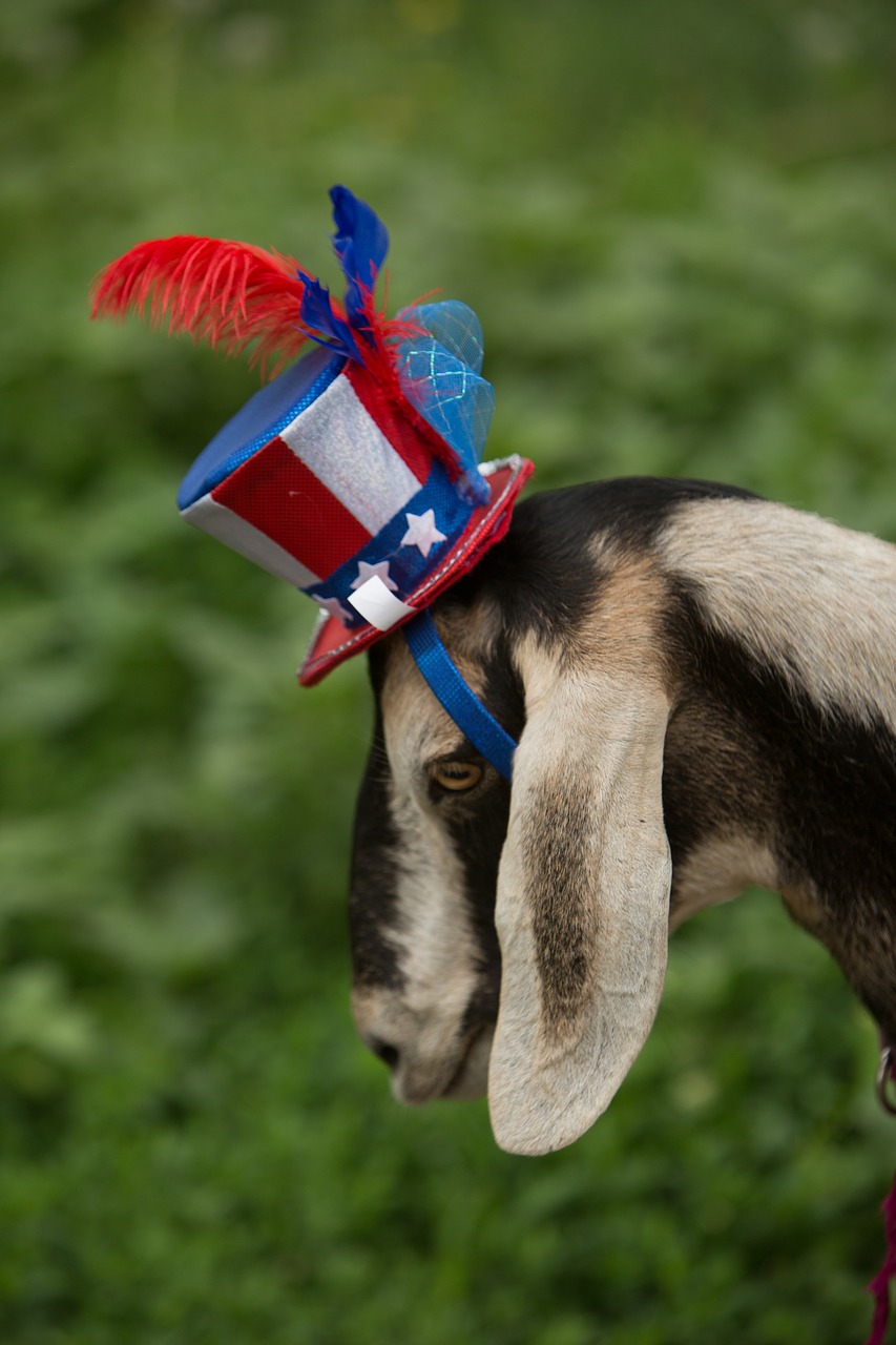 Image - patriotic goat blue red star