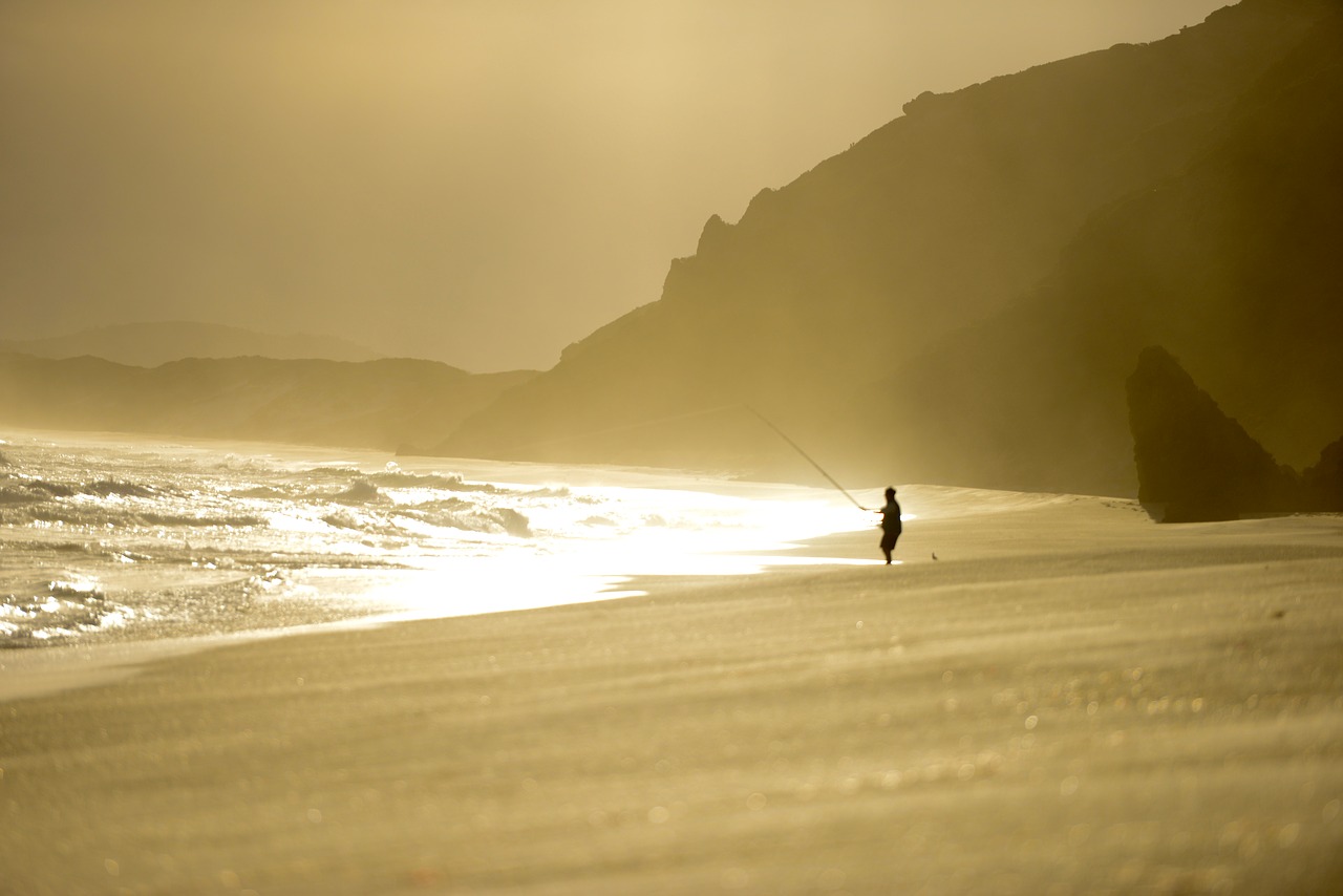 Image - fishing sunset beach ocean sky