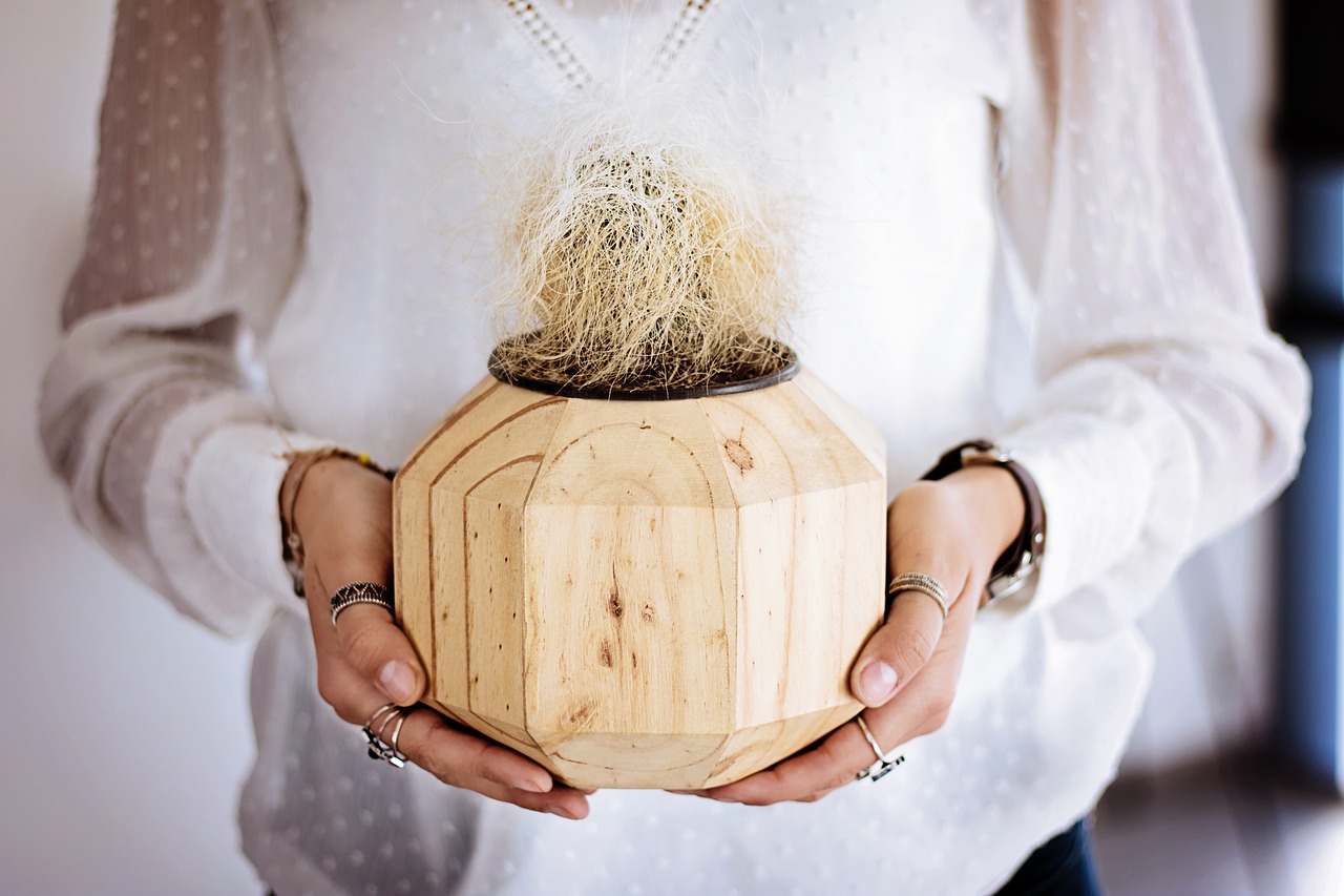 Image - cactus hands woman female holding