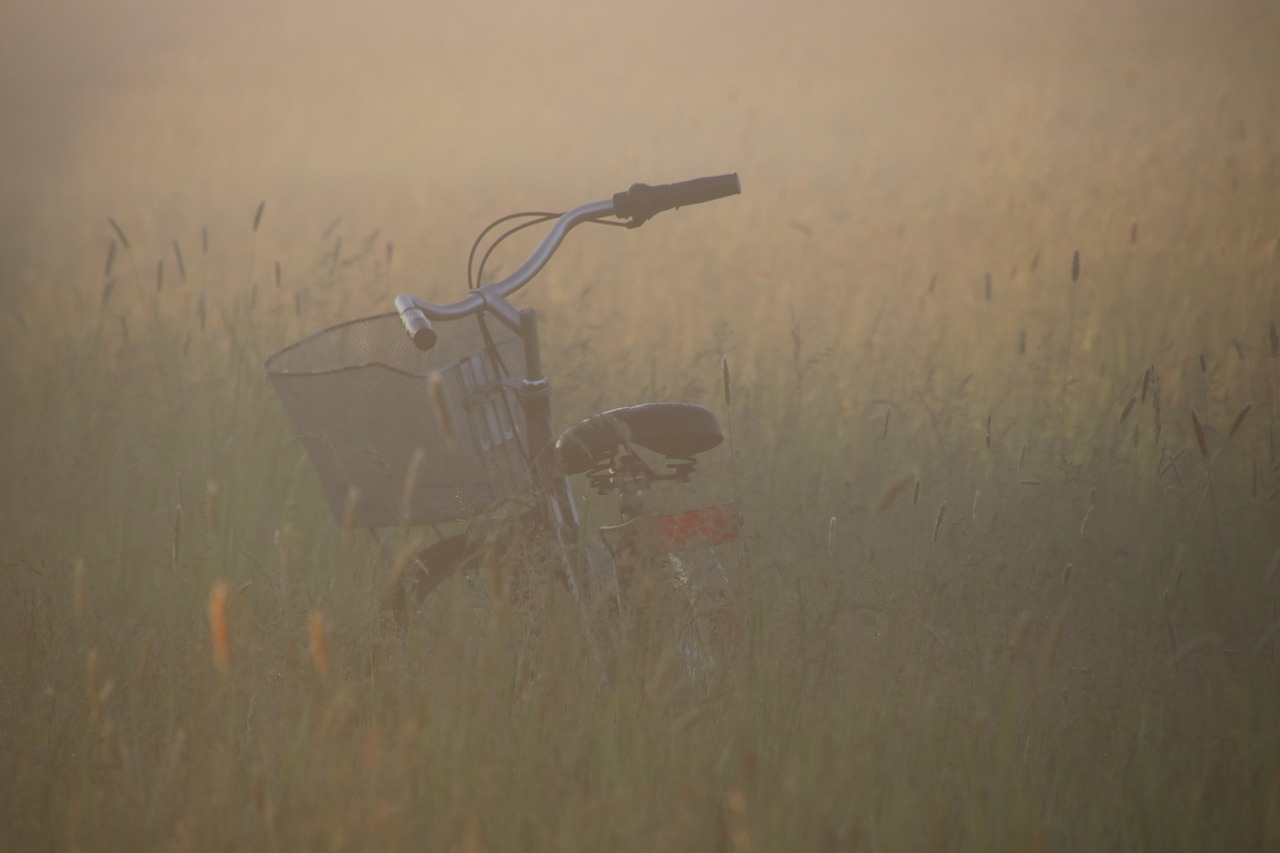 Image - meadow bike fog light mood nature