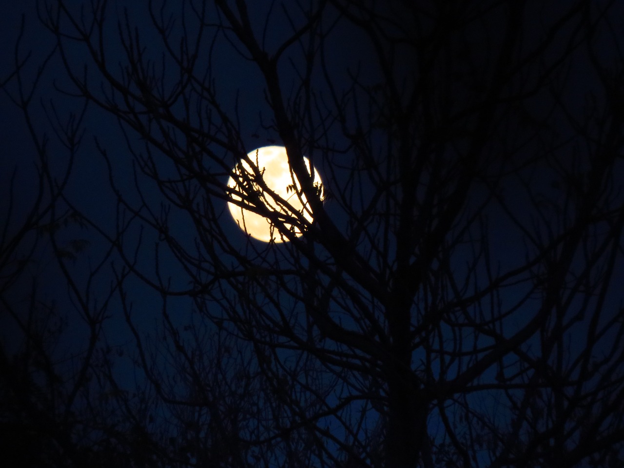 Image - moon moonlit blue sky night sky