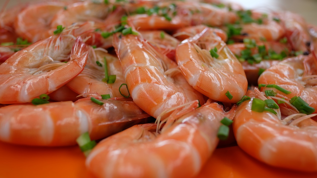 Image - prawns food seafood shrimp fish