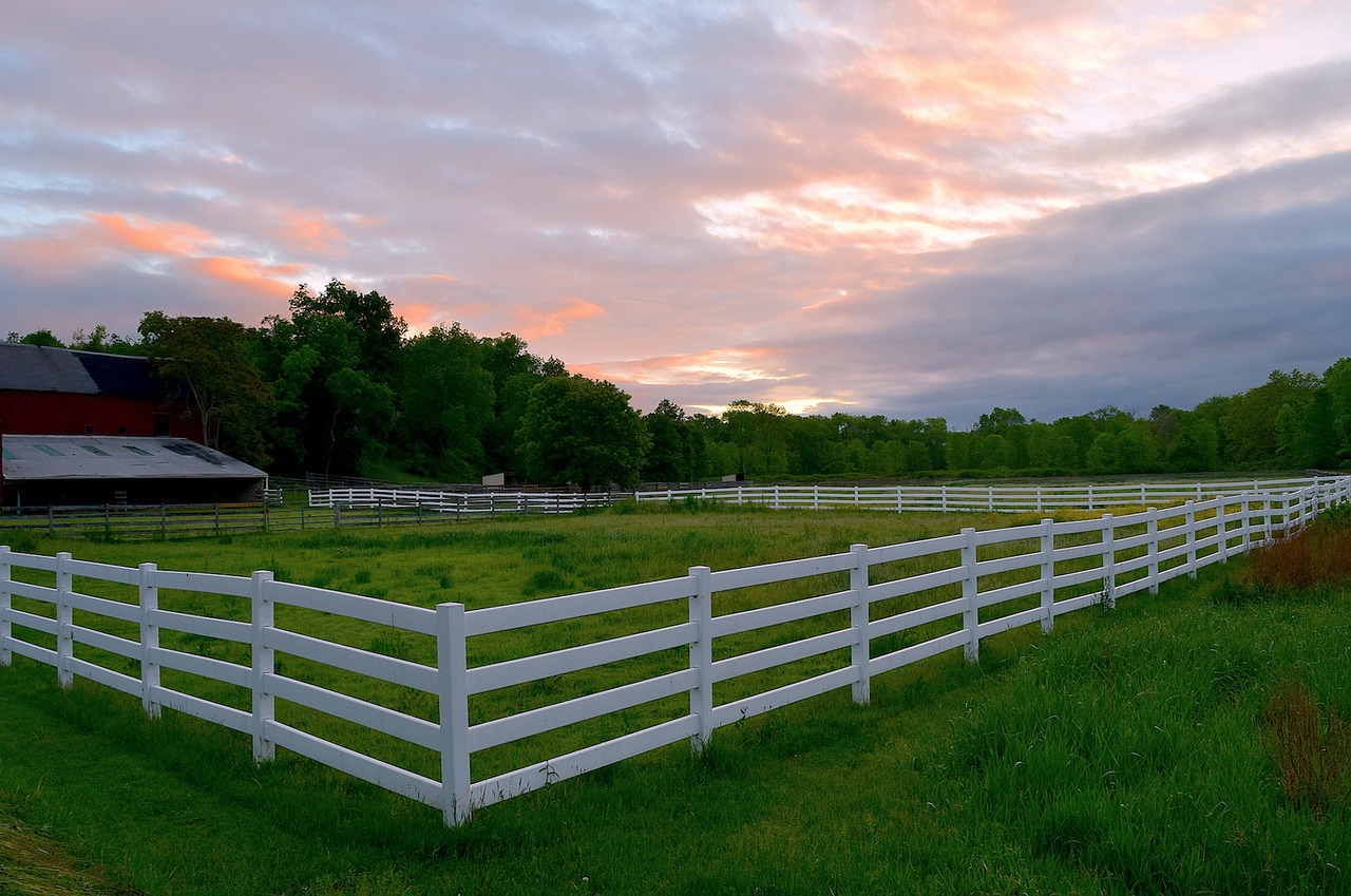 Image - farm sunrise fence white field