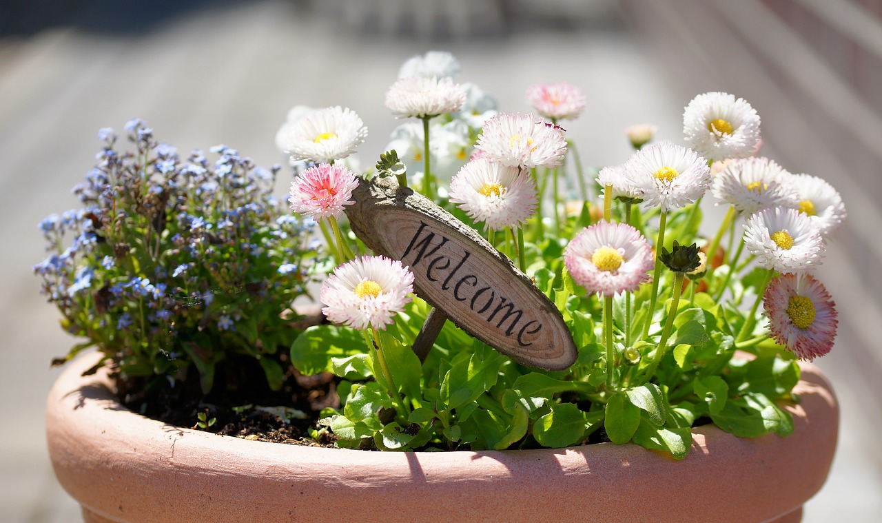 Image - flowerpot welcome flowers white