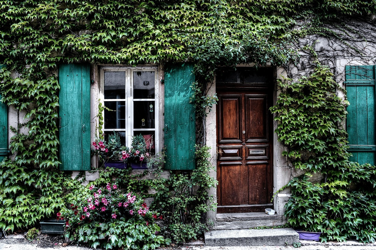 Image - ivy facade house belgium door