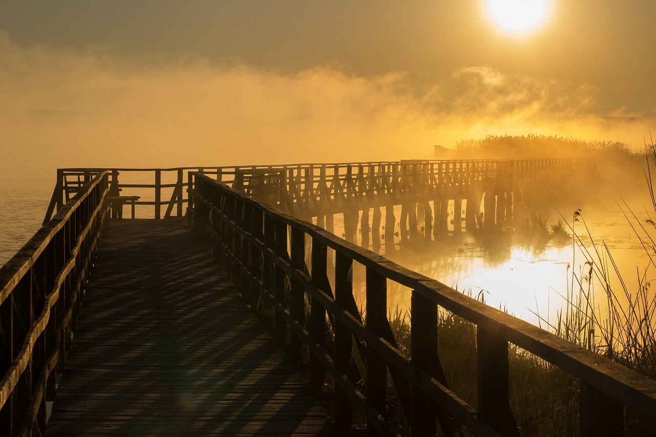 Image - spring lake sunrise fog mist