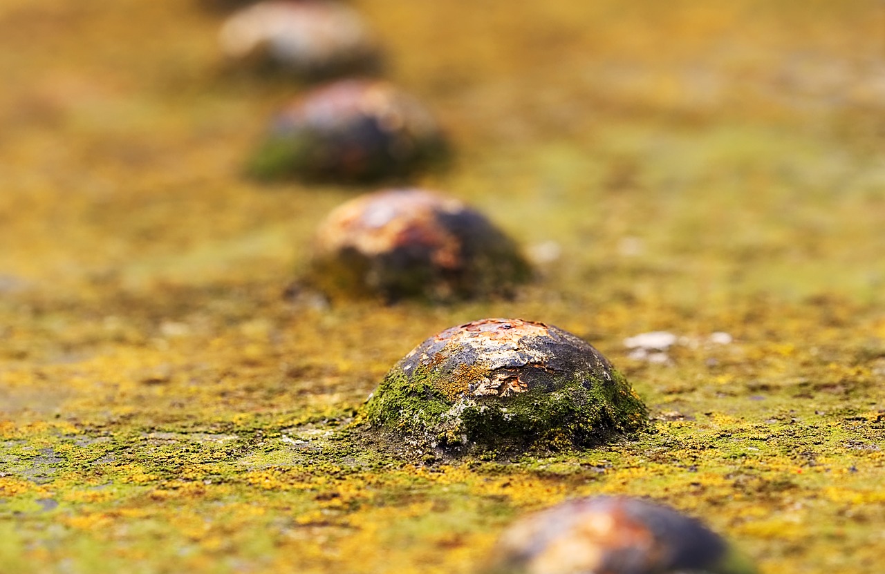 Image - rivet iron plate metal corrosion