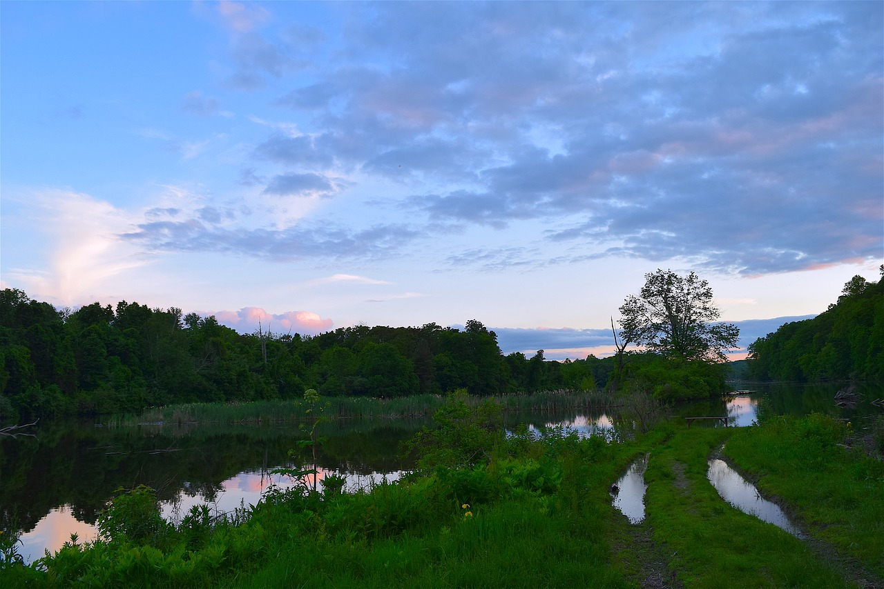 Image - tree lake sunset reflection water