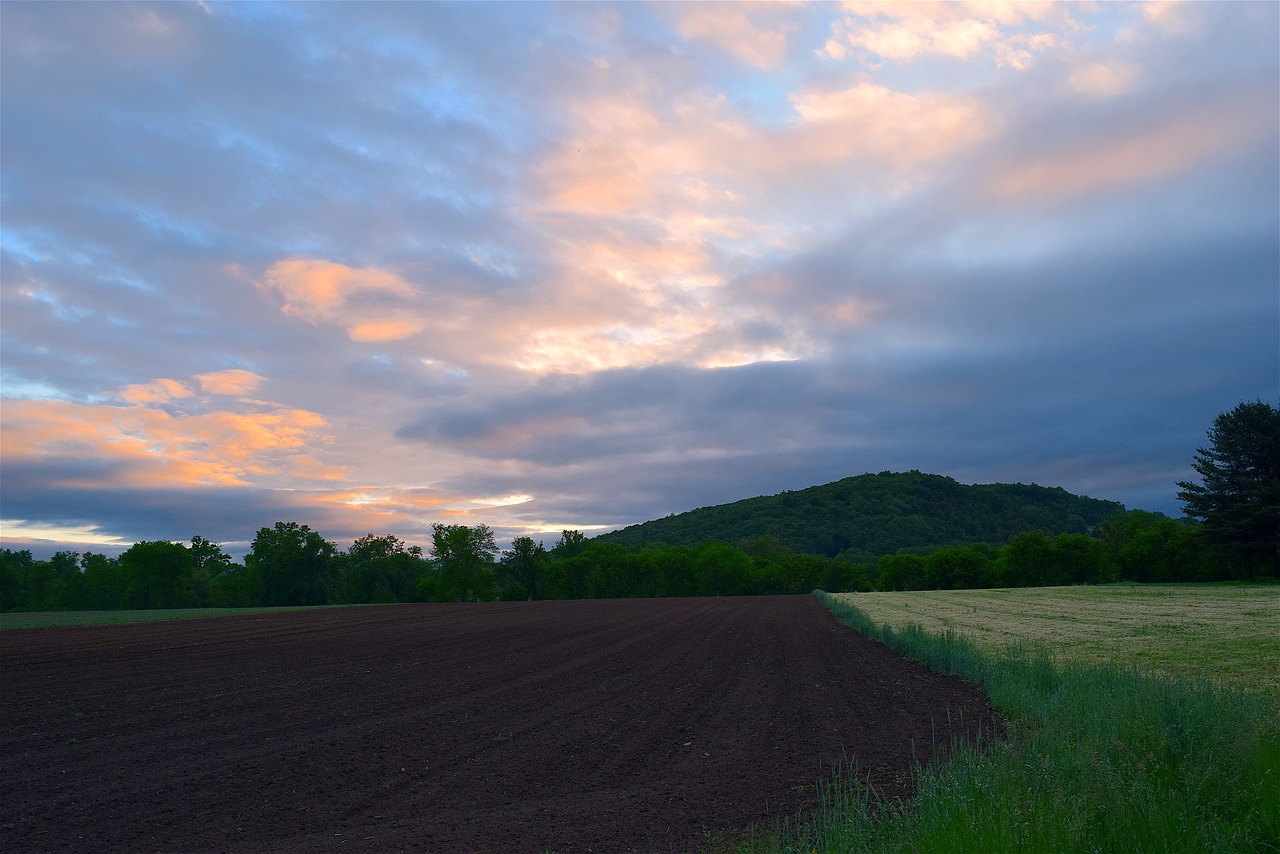 Image - field sunrise farm nature sky