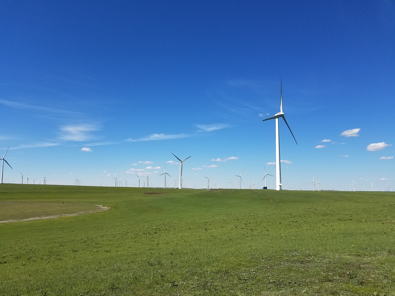 Image - blue sky fresh air cloud grass land