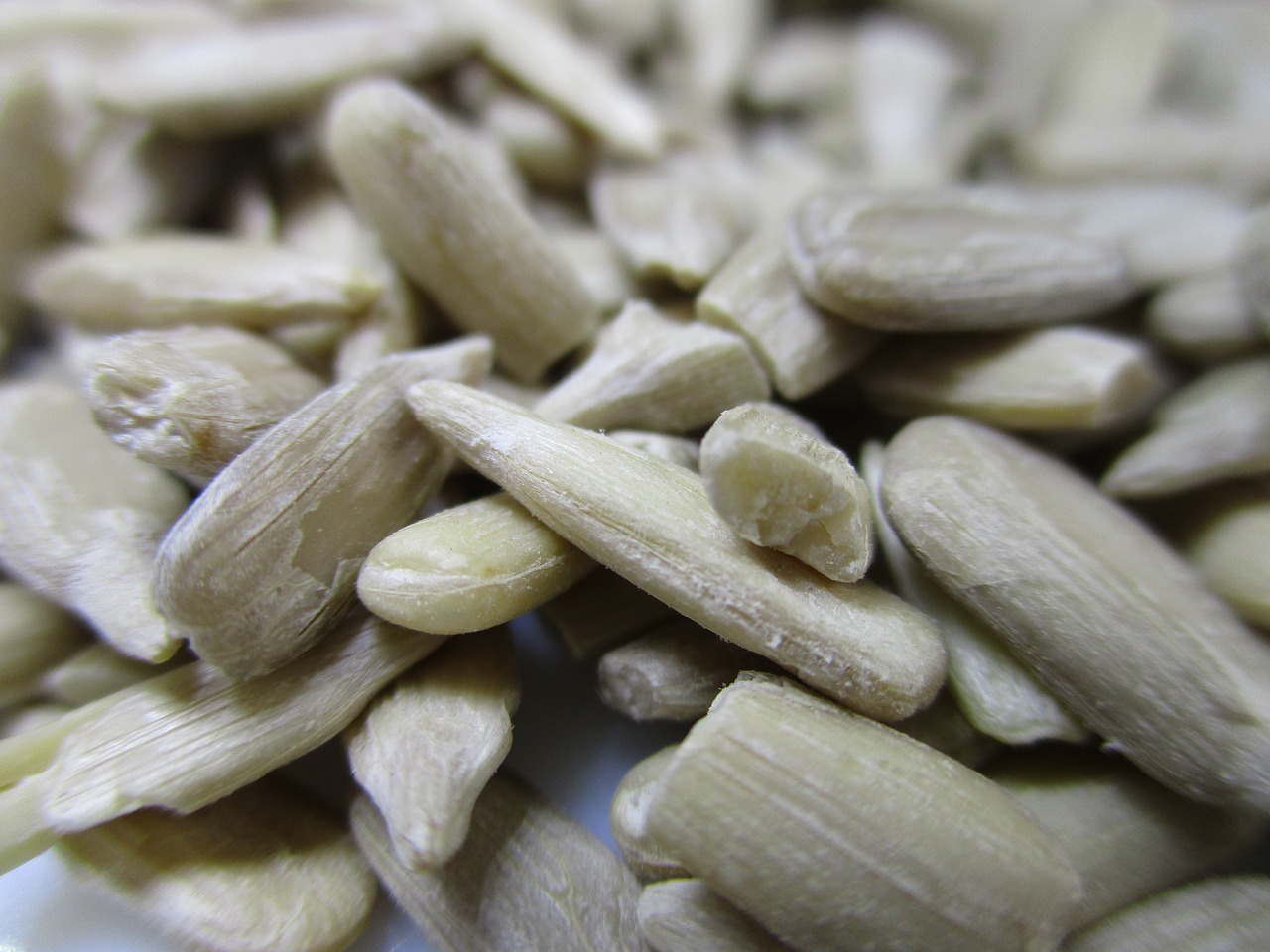 Image - seeds sunflower vegan vegetarian
