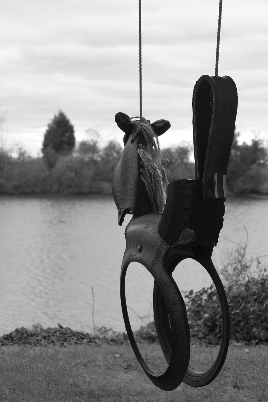 Image - swing maryland southeast reuse