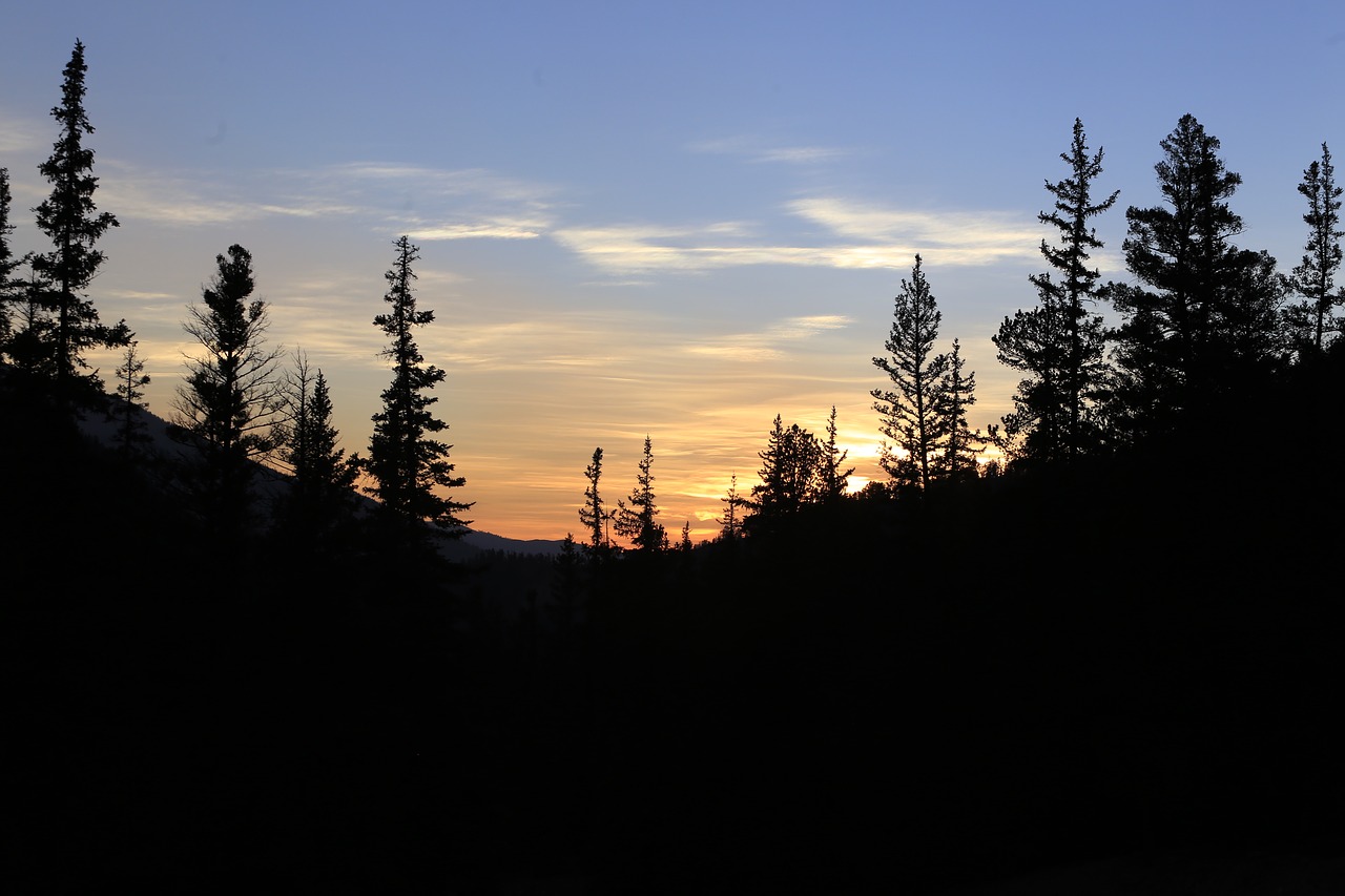 Image - sunset evergreens at sunset sky