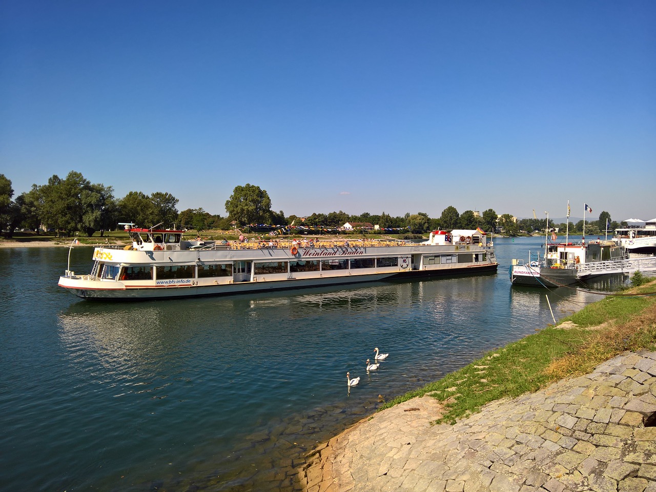 Image - rhine breisach ship water swim