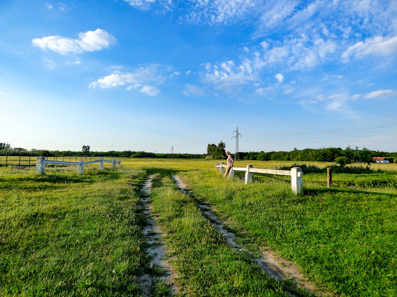 Image - field road bridge nature spring