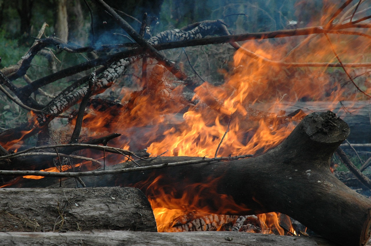 Image - farm fire camp rural wood flame