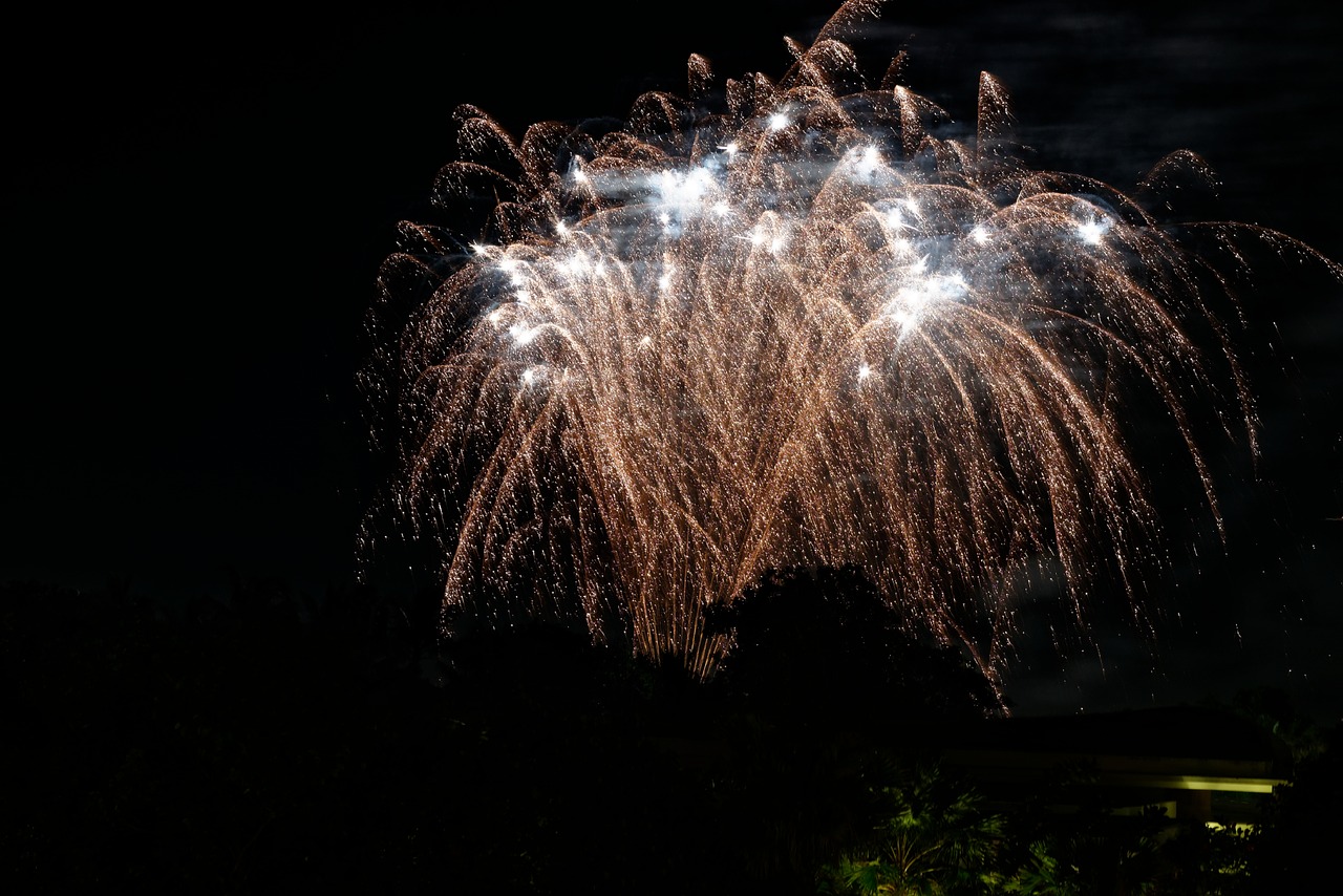 Image - fireworks beach magnificent