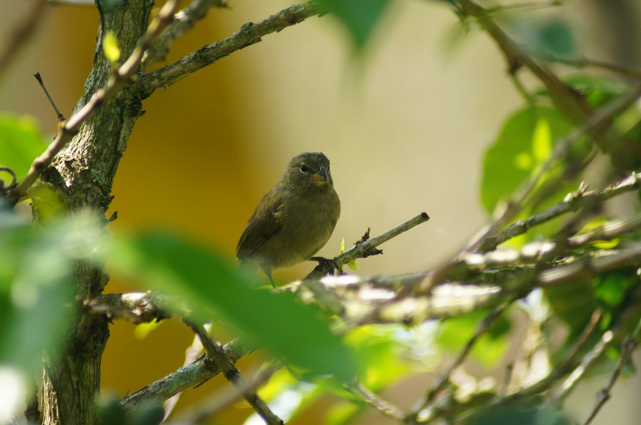 Image - nature finlandia colombia people