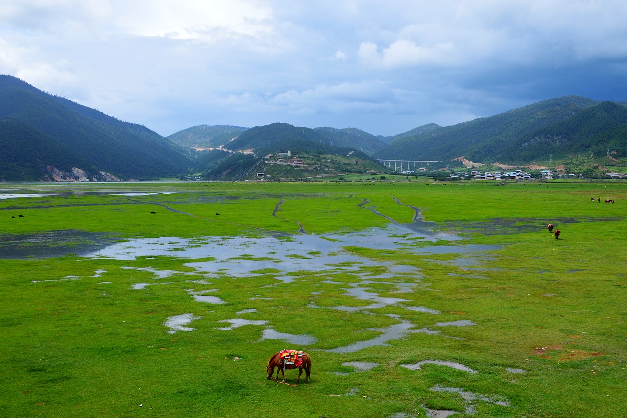 Image - in yunnan province prairie