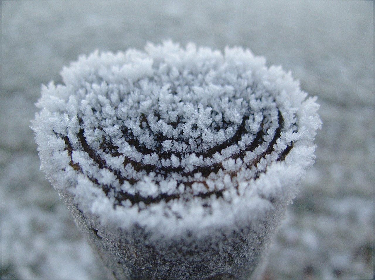 Image - winter white cold snow wintry