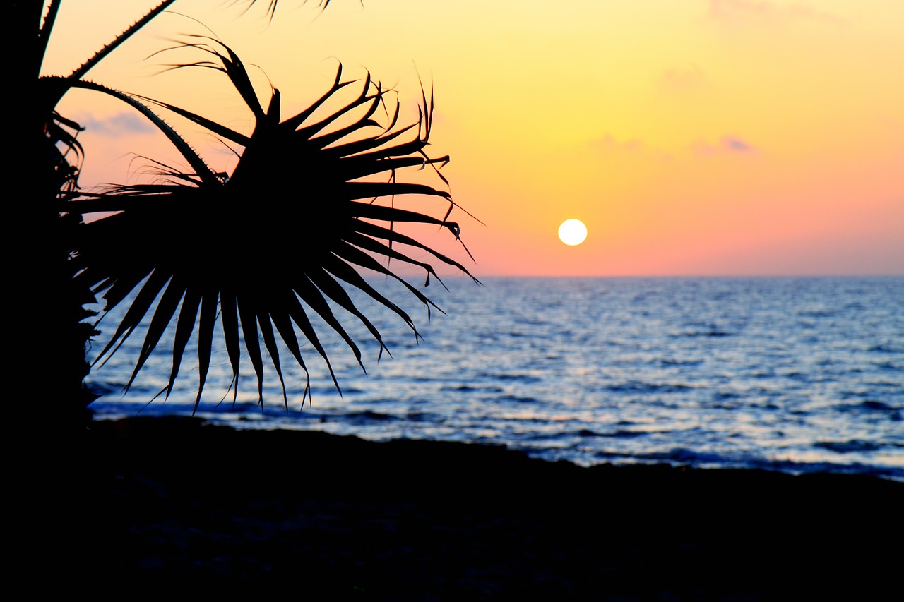 Image - background beach beautiful coast