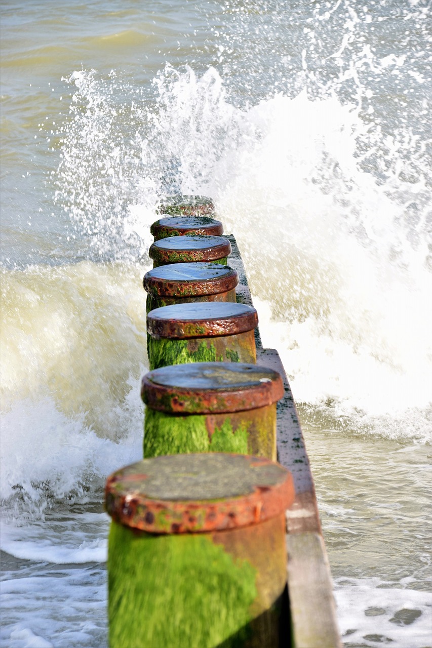 Image - mole water sea beach