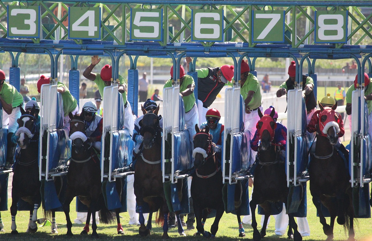 Image - horse racing horse jockey mauritius