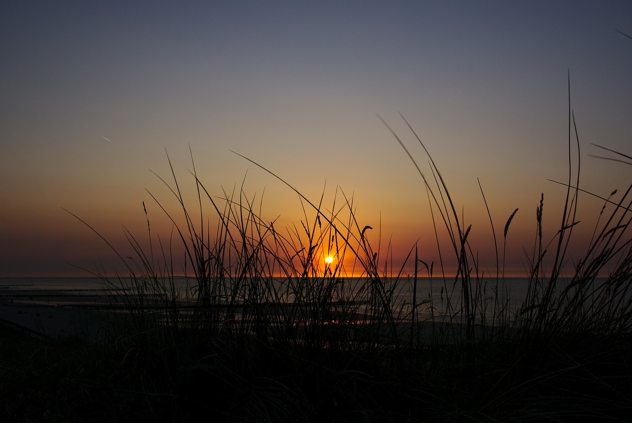 Image - sun sunset grass summer sea