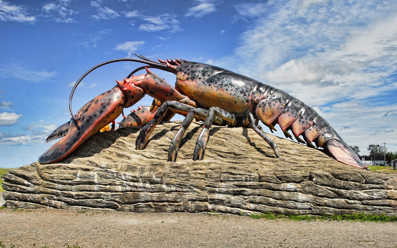 Image - lobster shediac canada