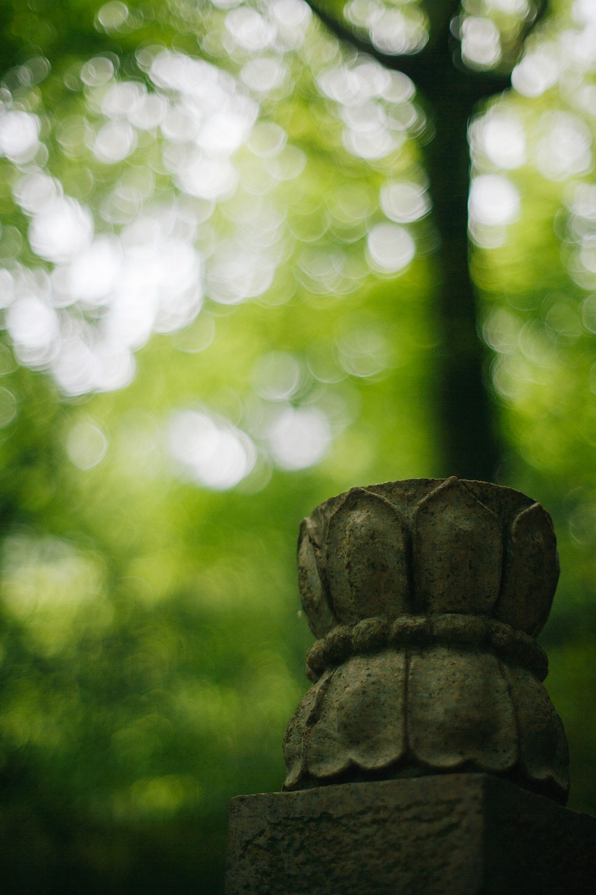 Image - lotus forest stone carving
