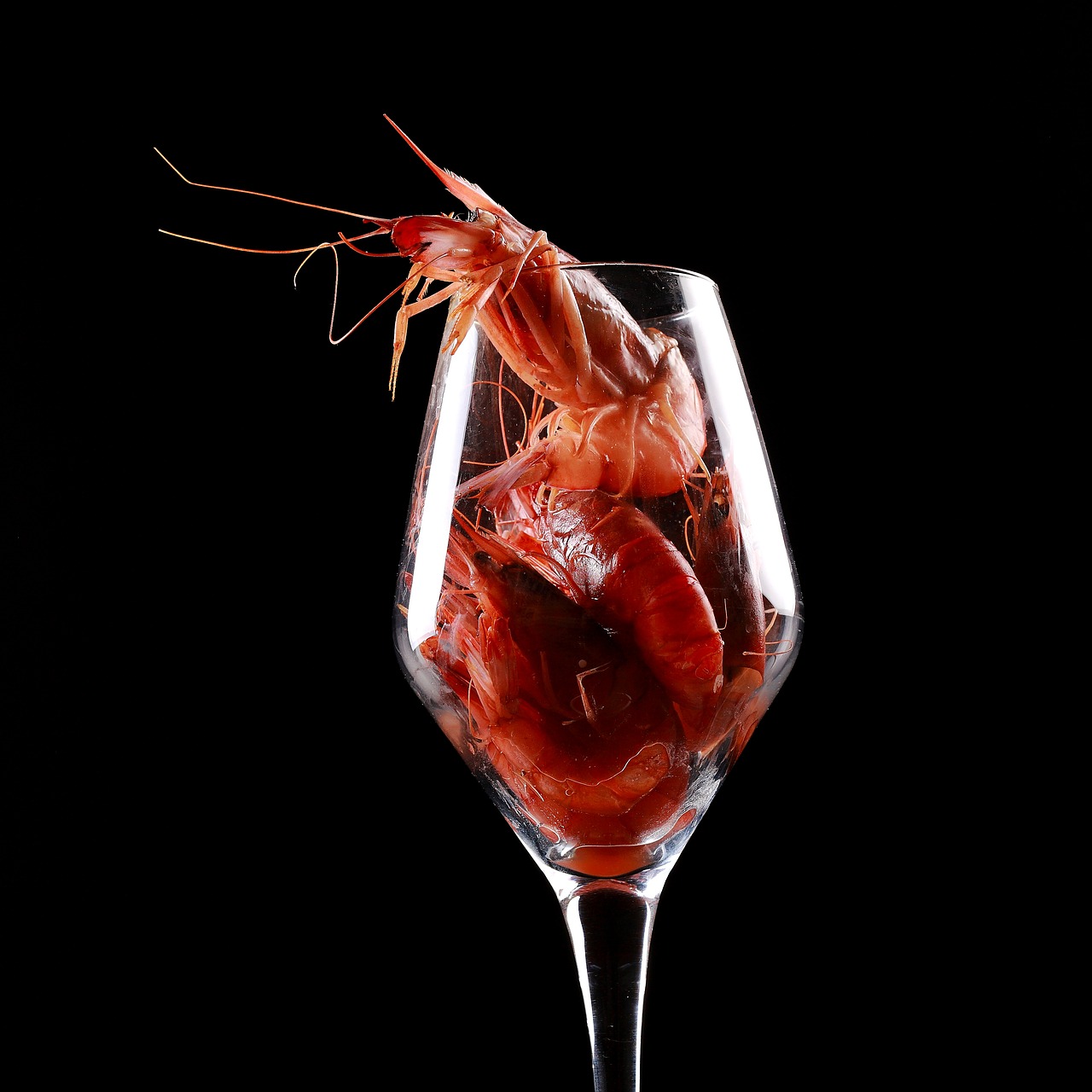 Image - shrimp food red fresh glass