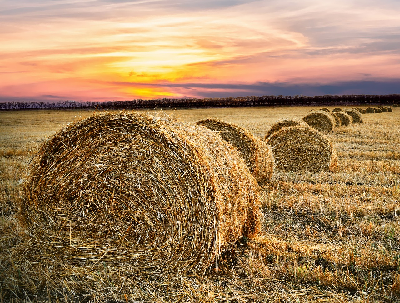 Image - hay bale countryside farm rural