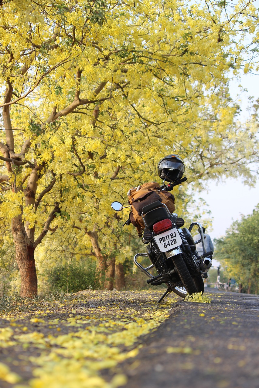 Image - leafs flowers patiala yellow