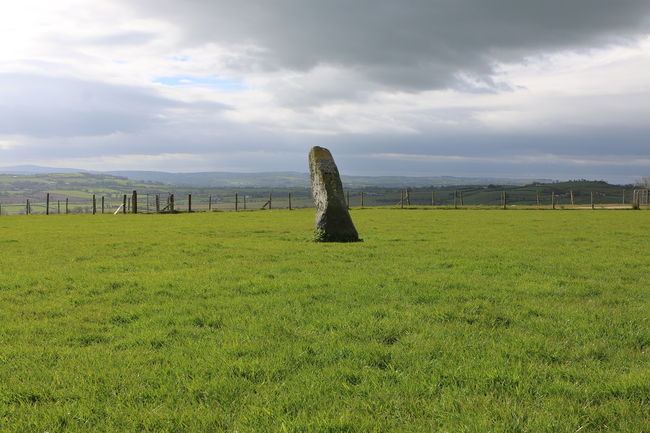 Image - ireland stone meadow