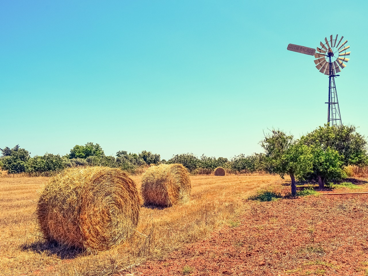 Image - farm trees countryside agriculture