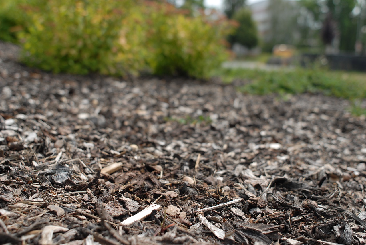 Image - bark city nature