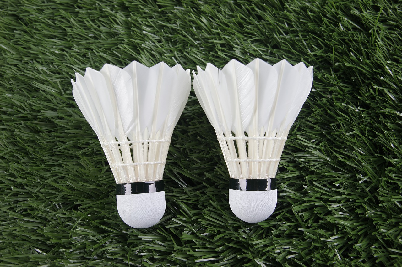 Image - badminton sport shuttlecock