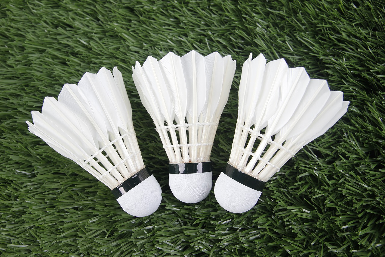 Image - badminton sport shuttlecock