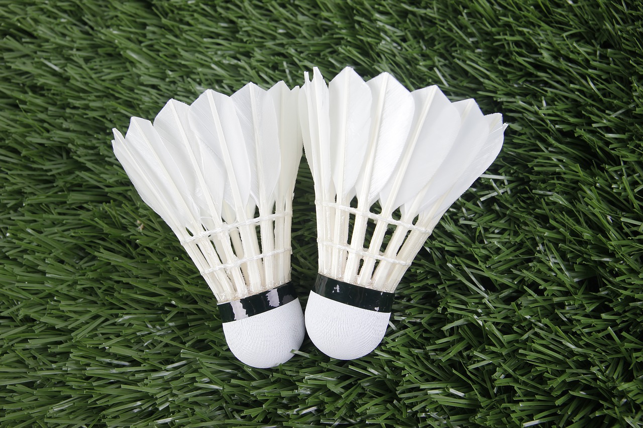 Image - badminton sport shuttlecock