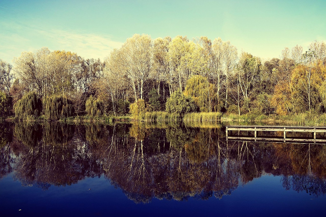 Image - reflection nature t lake