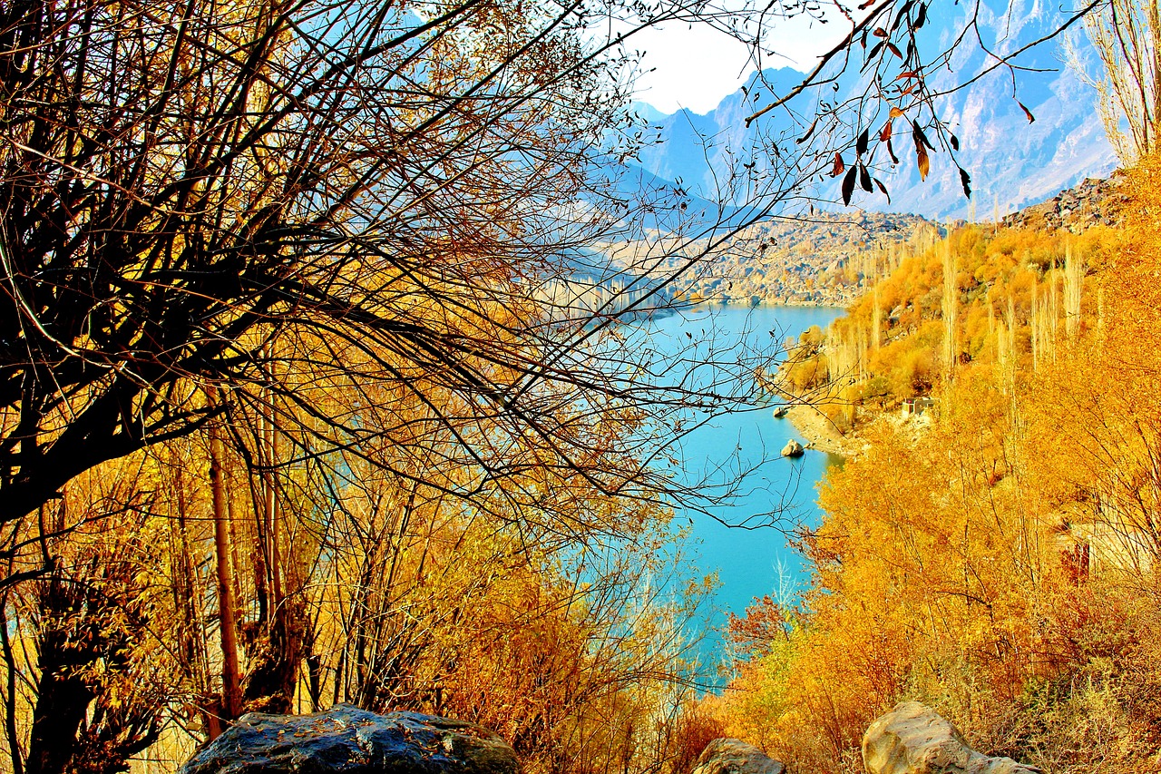 Image - tree lake pakistan nature