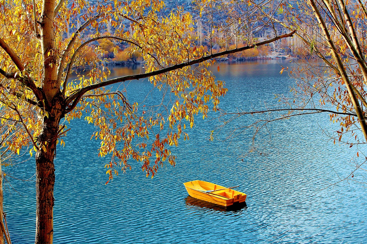 Image - tree lake pakistan nature