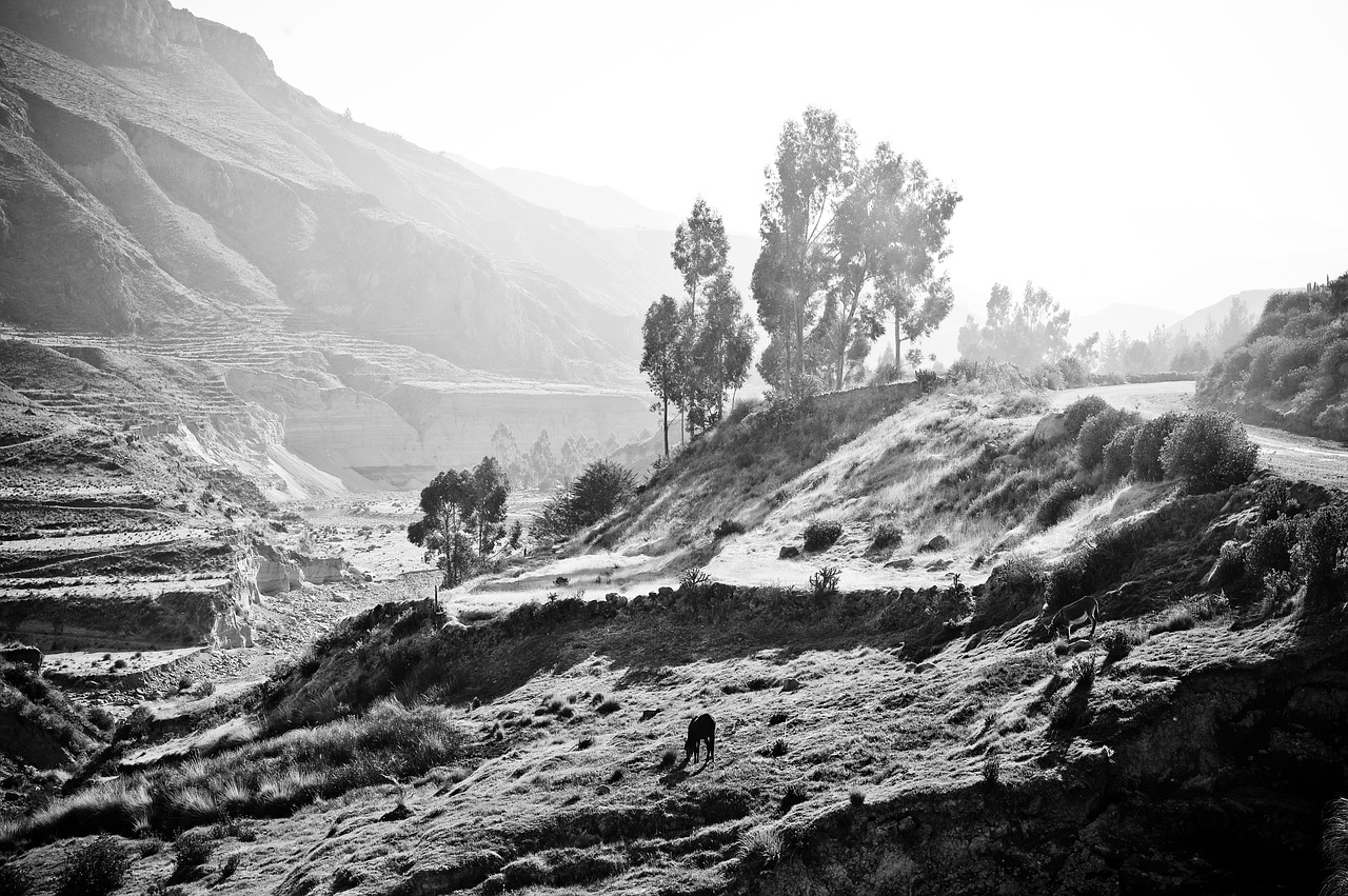 Image - peru the colca valley inca ande