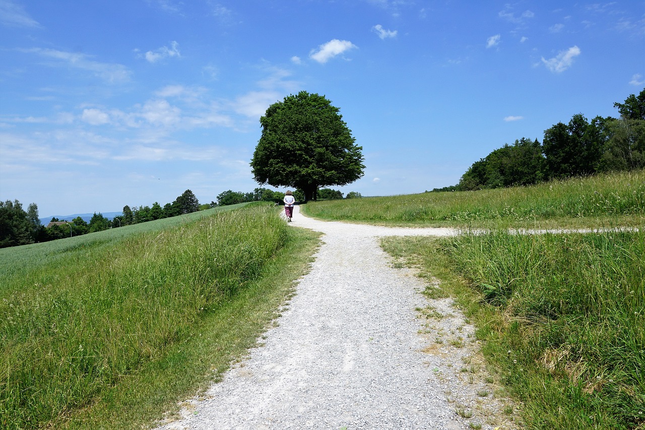 Image - zollikon landscape nature