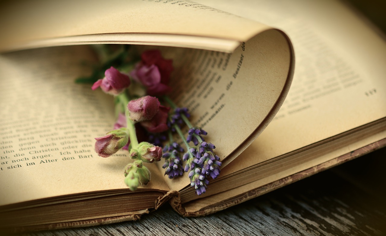 Image - book old book read used