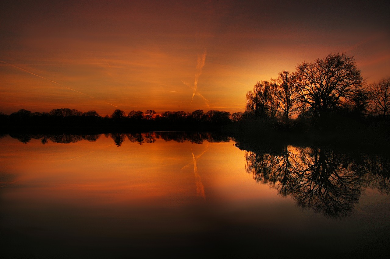 Image - sun pond water nature landscape