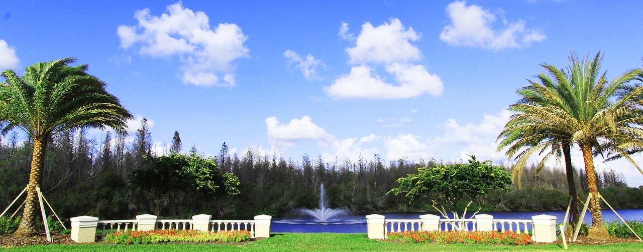 Image - pond luxury water tree landscape