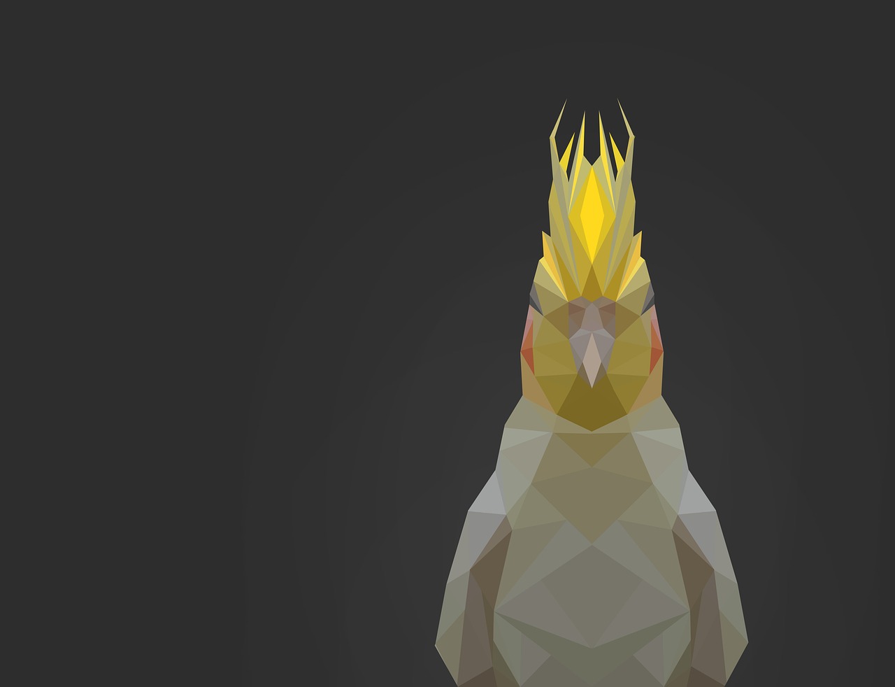 Image - parrot low poly bird polygon