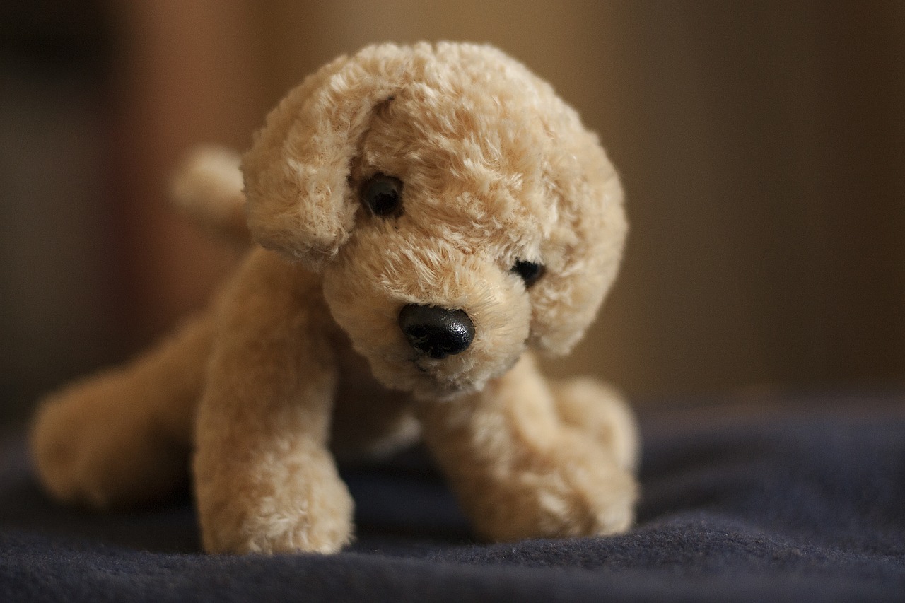 Image - plush toy stuffed toy puppy cute