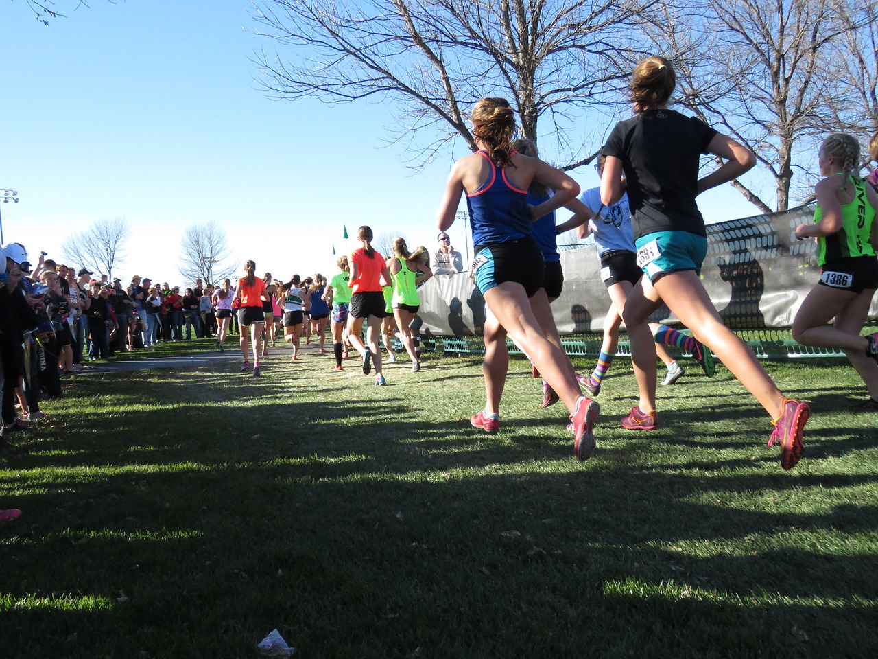 Image - runners cross country race